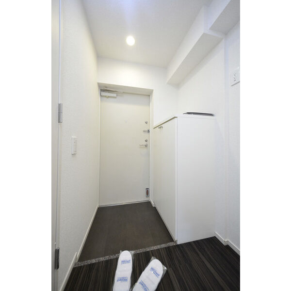 リヴシティ横浜東ベイサイド504号室 玄関