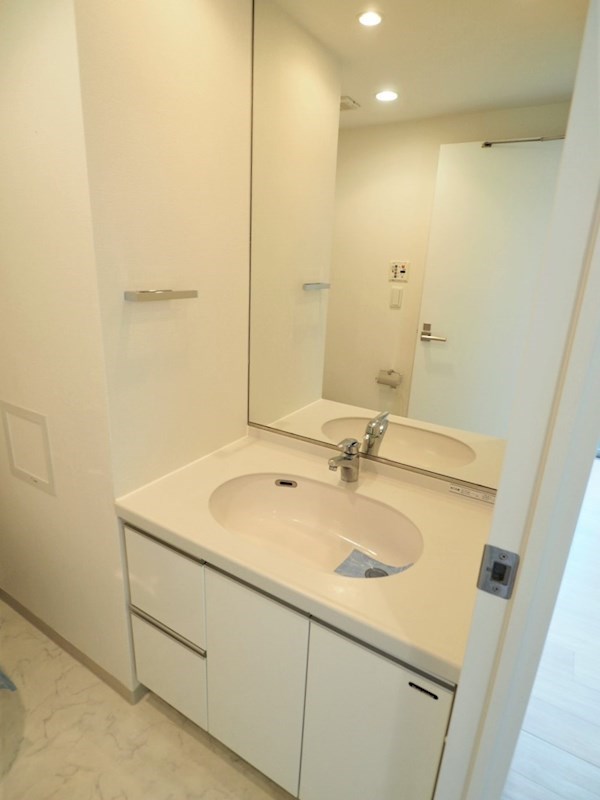 レジディア中落合B棟4階 洗面