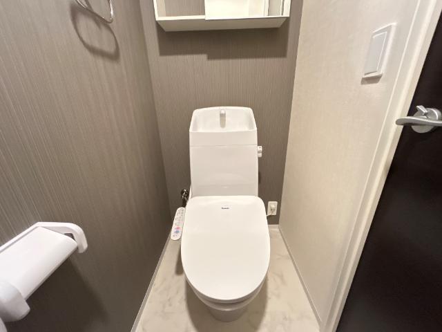 エスペランサ201号室 トイレ