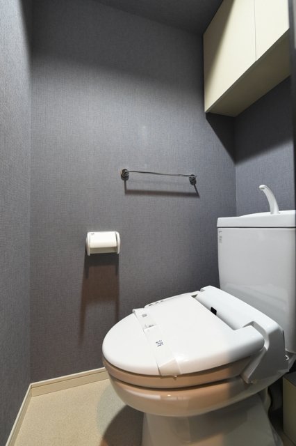 レガリアタワーレジデンス トイレ