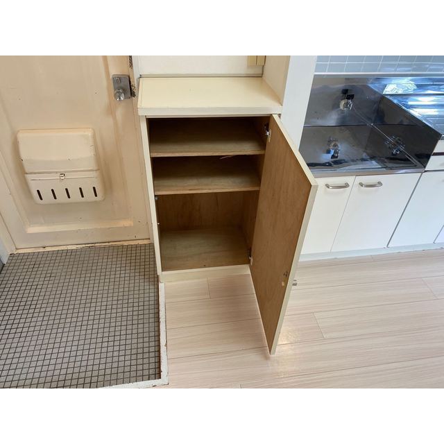 メゾンドＹアンドＹ101号室 内観