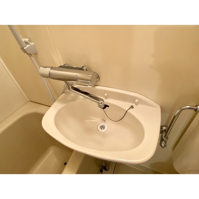 カサブランカハイツ103号室 洗面ボール