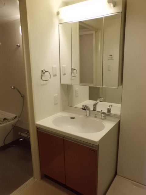 カッスル菊名0408号室 洗面