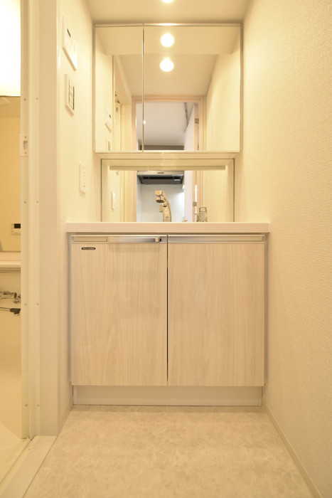 グランパセオ清澄白河Ⅱ0808号室 洗面