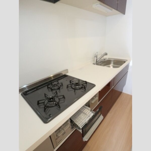 BLESS HOUSE柏西町　D106号室 ガスコンロ3口グリル付