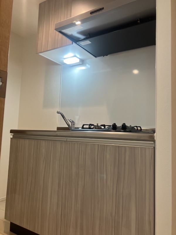 グレイスコート八王子3階 部屋その他