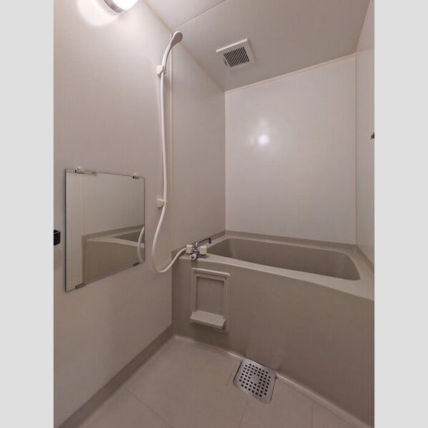 メゾン・ド・アレーズ202号室 浴室