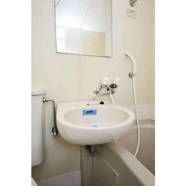 メゾン・ド・オヌール0506号室 洗面