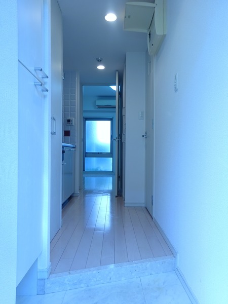 ステージグランデ田園調布アジールコート111号室 その他