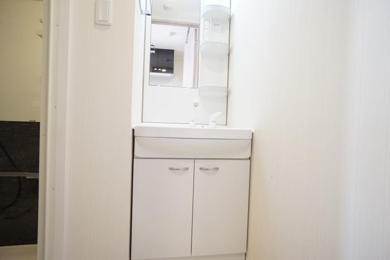 N-Stage鳩ヶ谷10階 洗面所