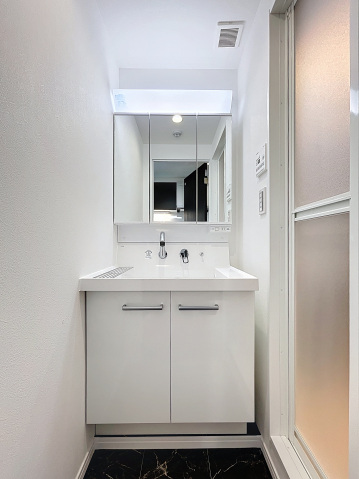 スカイルーチェ浦和401号室 洗面