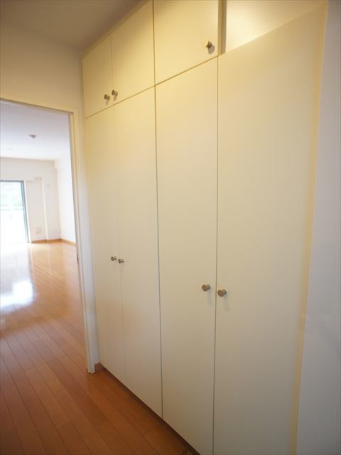 Ｃａｓａ．ａｖｉｒｉｏ0105号室 収納