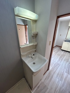 東住吉マンション 洗面