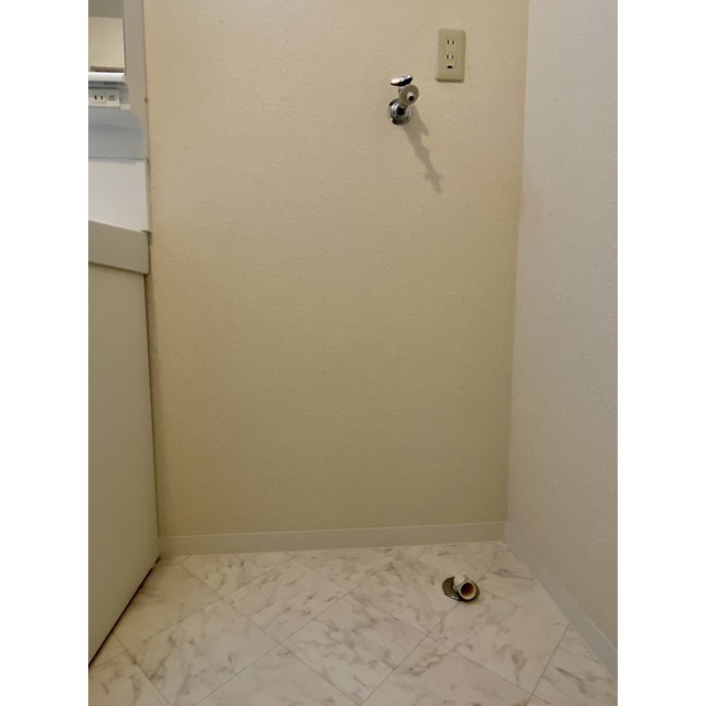 ＵＮＯ　ＰＡＬＡＣＥ105号室 洗濯機置き場