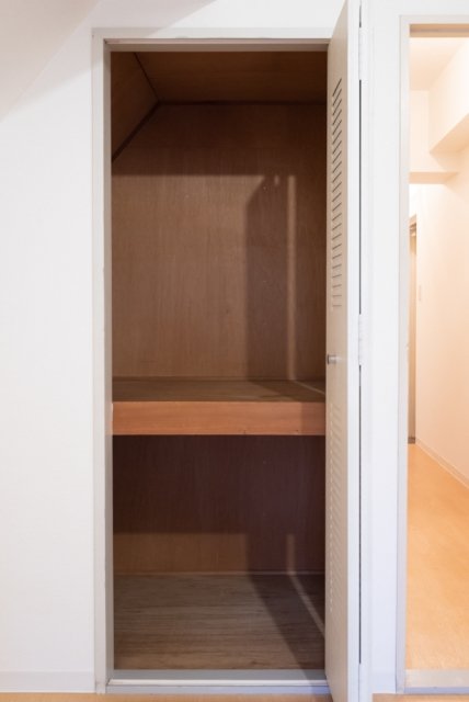 ライオンズマンション立石3階 収納