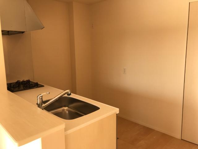 ｇｒｅｅｎ ｍａｉｓｏｎ(グリーンメゾン)105号室 キッチン