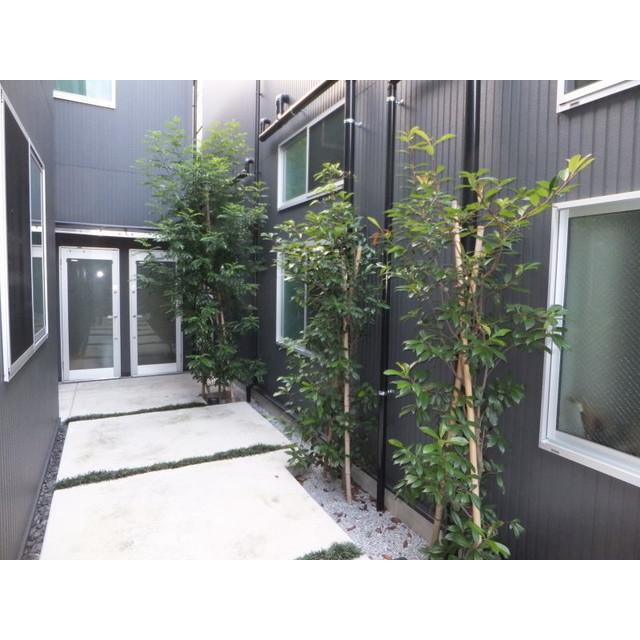 グランエッグス桜新町S2階 エントランス