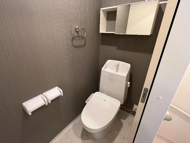 アドニス203号室 シャワー付トイレ