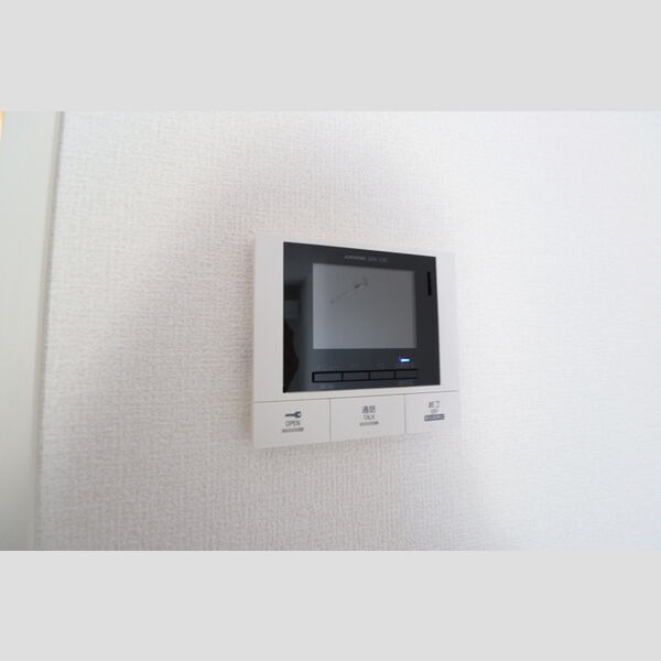 グリーンプラザ203号室 TVインターフォン