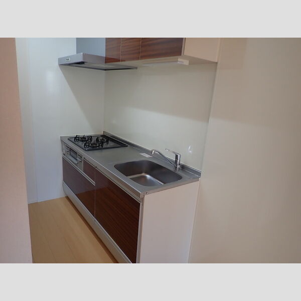 ソレアード・ミナミダⅡ101号室 システムキッチン