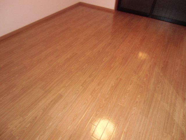 プリオール２００４301号室 室内