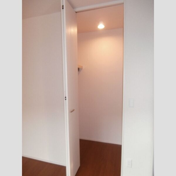 フラッツ酒井根　Ⅰ号棟103号室 南側洋室6.1帖のクローゼット