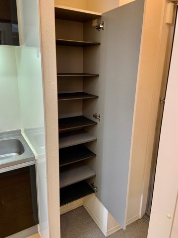 マレアガーデン新横浜Ｂ棟0203号室 収納