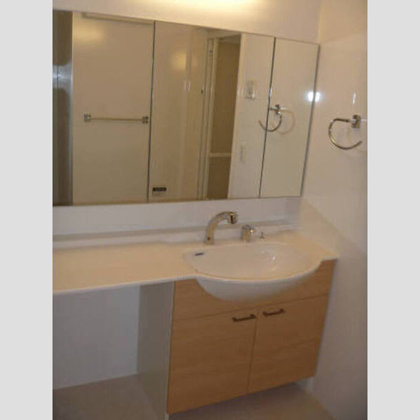 ダイアモンド・ティアラ 洗髪洗面化粧台