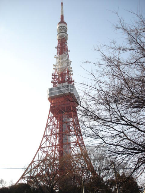 ガラ・シティ芝公園4階 東京タワー