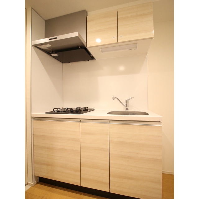 プレール・ドゥーク赤塚304号室 システムキッチン