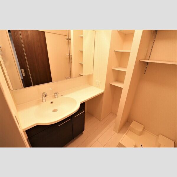 apartment Will201号室 洗髪洗面化粧台