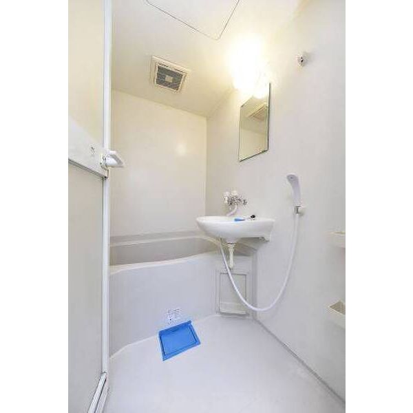 パピヨン お風呂