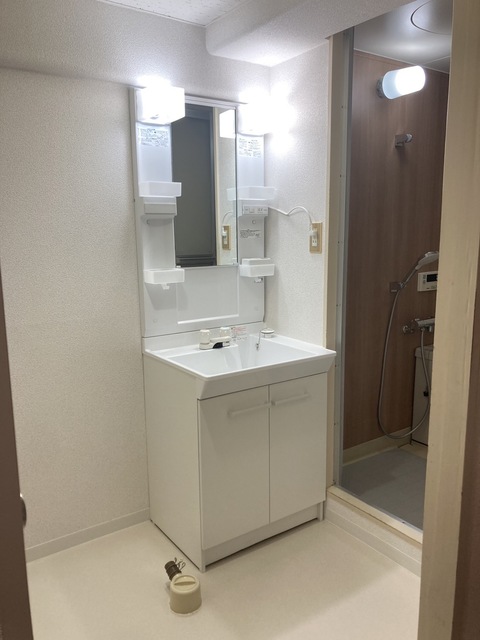 ルミエール・シャトレ 洗面