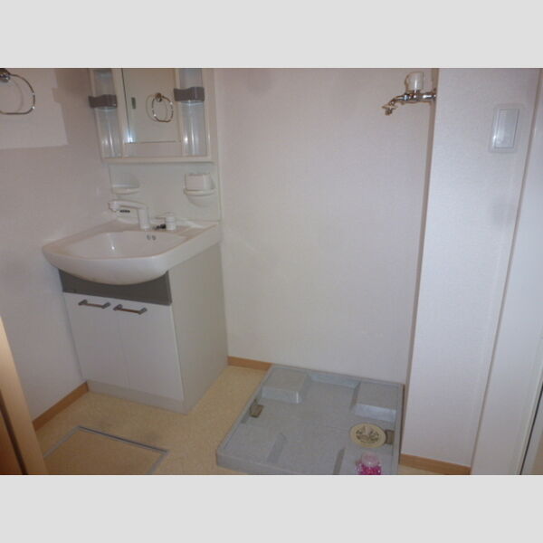 ラ・プランタン202号室 洗面所