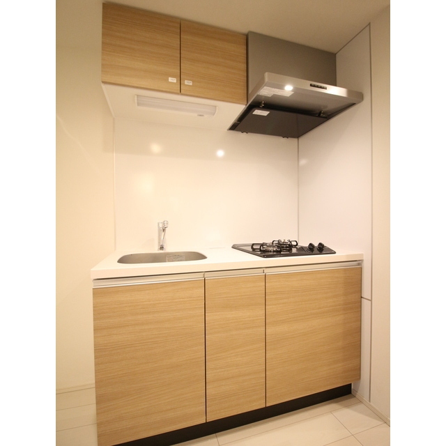 プレール・ドゥーク赤塚405号室 システムキッチン