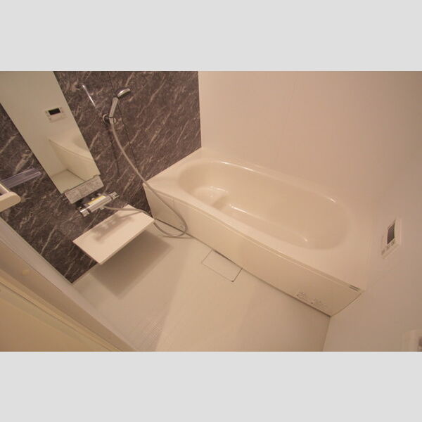 GOLDEN RINGS　12(ゴールデンリングスワンツー)102号室 お風呂