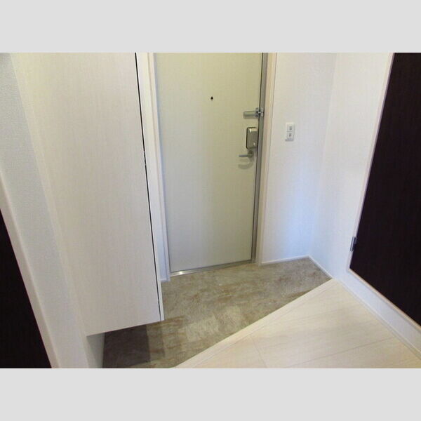 トップXI203号室 玄関