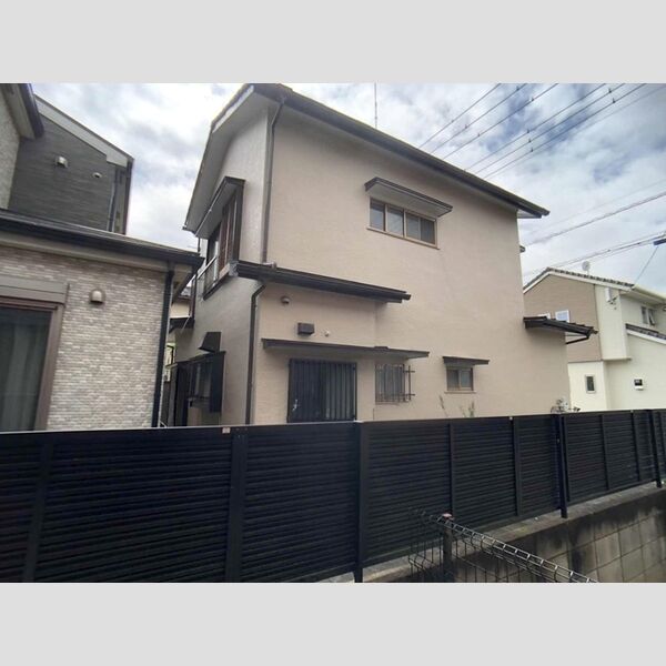 Will More 2001 眺望