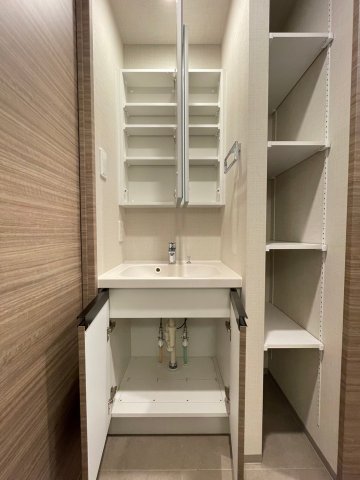 DIPS東十条駅前RESIDENCE602号室 洗面