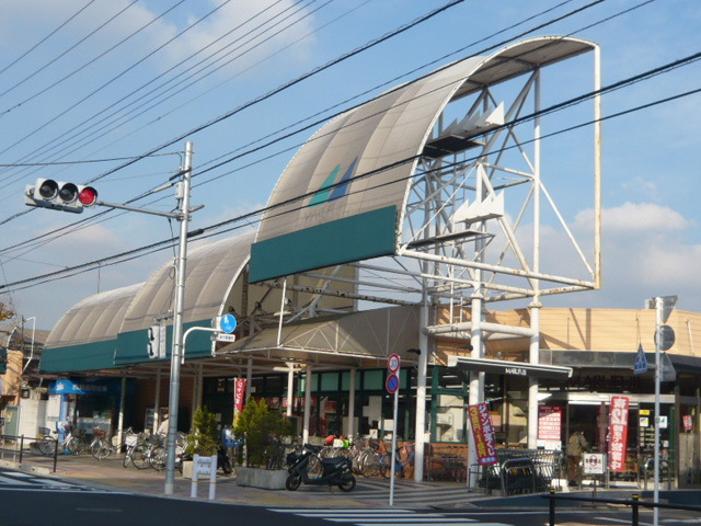 グリーンパーク田園１２号0202号室 【デパート】マルフジ南田園店まで330ｍ