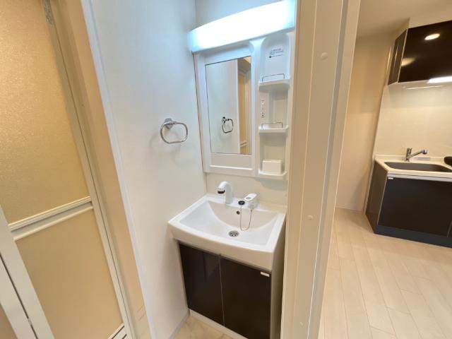 メゾン・ウィステリア 洗髪洗面化粧台