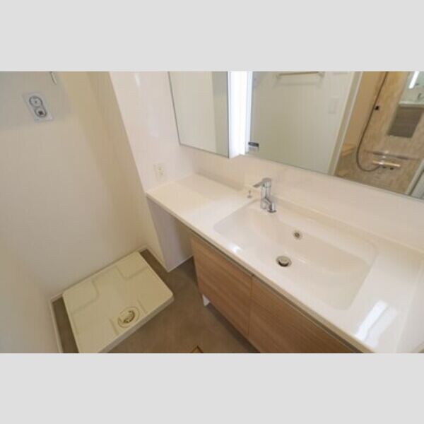 Skye residence元住吉103号室 洗髪洗面化粧台