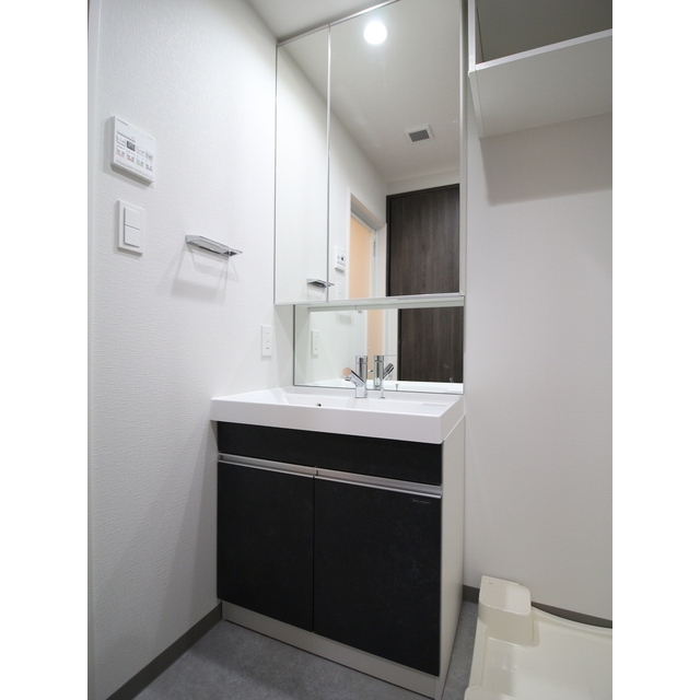 プレール・ドゥーク亀戸Ⅵ1106号室 二面鏡洗面化粧台