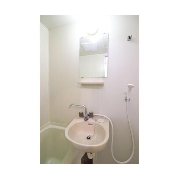 グランドールヤマグチ305号室 洗面