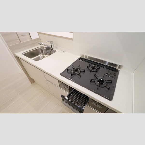 ビーネ北坂戸101号室 システムキッチン