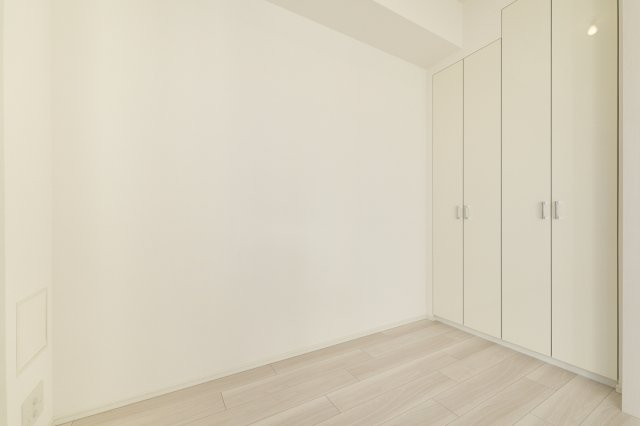 プラウドフラット亀戸ステーションプレイス1202号室 収納