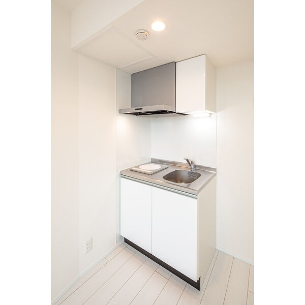 Ludens椎名町203号室 部屋その他