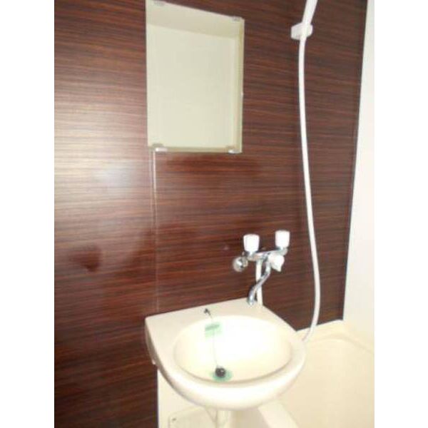 ジュネパレス市川第170203号室 洗面