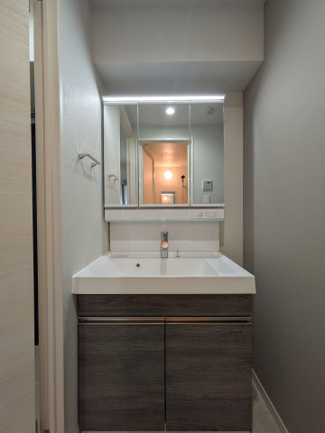 ジェノヴィア六町0205号室 洗面