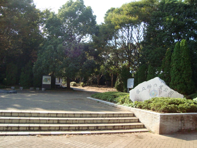 アメニティ　ヒルズ 柏の葉公園まで2,000ｍ